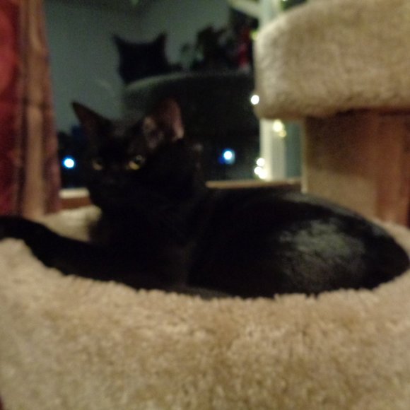 Welcome to my Large eclectic closet - Picture 5 of 10